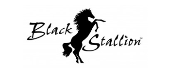 The Black Stallion