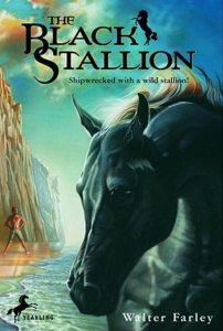 the-black-stallion-book